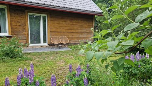 Igums House | Ķēniņi