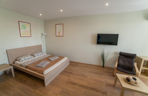 Nizhniy Novgorod City Centre Apartment | Апартаменты в центре