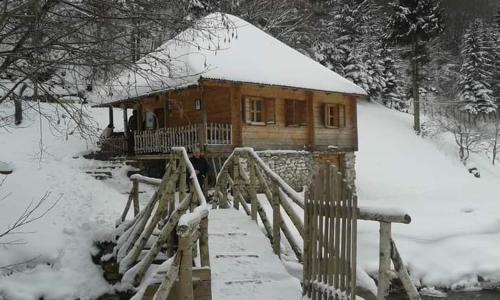 Montenegro Apartment | Апартман Снежана