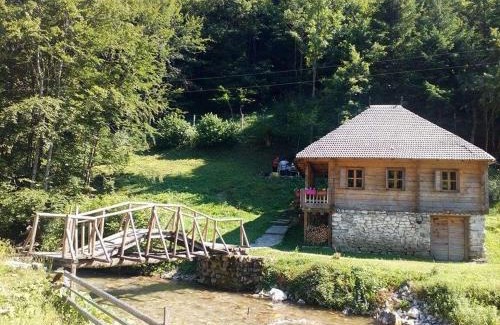 Montenegro Apartment | Апартман Снежана