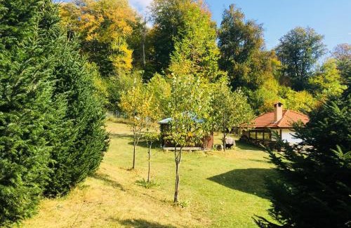 Karlovo House | Бунгала Дара