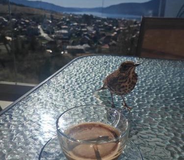 Sarnitsa House | Вилно селище PARADISE VIEW