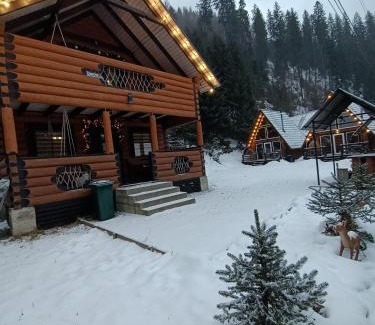 Soymy Apartment | В Обіймах Гір