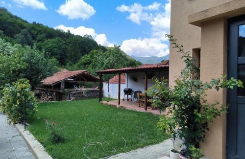 Chiprovtsi House | Гагинската къща