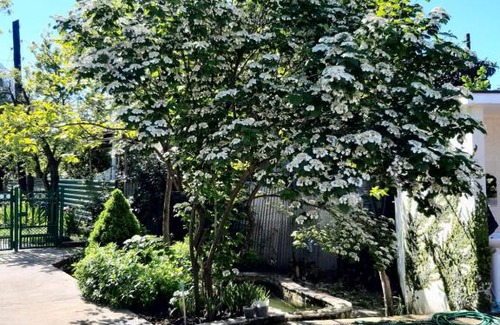 Gantiadi House | Гостевой дом Лапстинская 17 Анжела