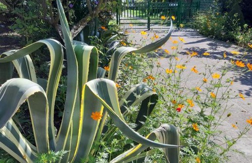 Gantiadi House | Гостевой дом Лапстинская 17 Анжела