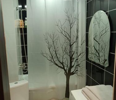 Krivoy Rog Apartment | Две уютные квартиры в центре города Дзержинка - New apartments