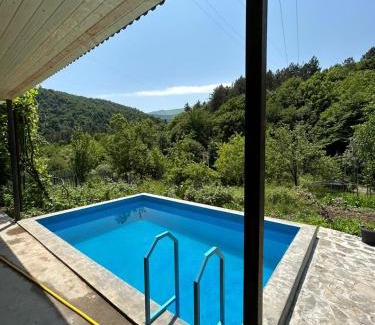 Dilijan House | Зелений Рай