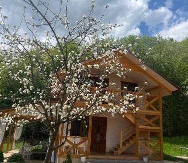 Vyzhnytsya Villa | Карпатська Модрина