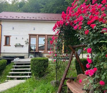 Vyzhnytsya Villa | Карпатська Модрина