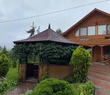 Vyzhnytsya Villa | Карпатська Модрина