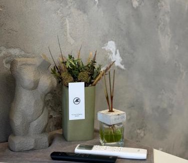 Lenins'kyi district Apartment | Квартира на Поділлі