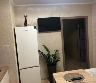 Vyshhorod Apartment | Квартира по вулиці Набережна