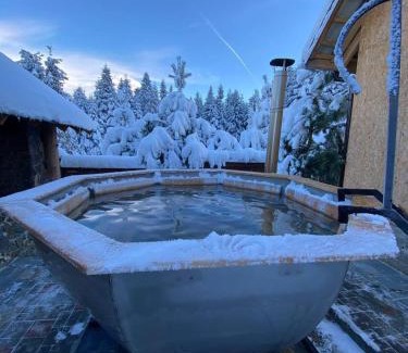 Myslivka House | Котедж ВІКТОРІЯ