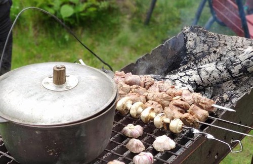 Morshin House | Котедж в Моршині