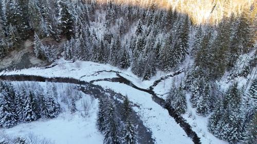 Palyanytsya Cabin | Котедж Зелениця