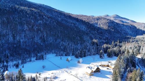 Palyanytsya Cabin | Котедж Зелениця