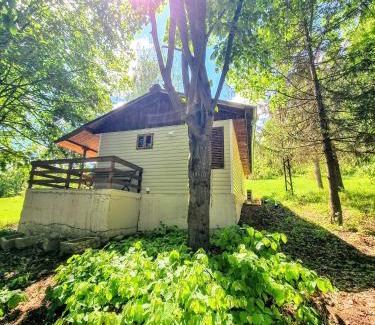 Mezdra Apartment | Къмпинг и Бунгала Брусен Хил - Camping and Bungalows Brusen Hill