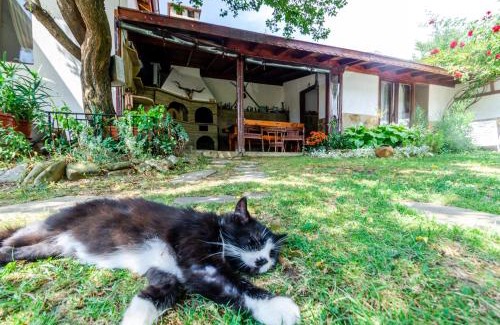 Kotel House | Къща за гости Виктория