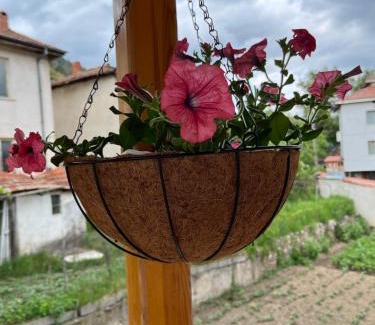 Smilyan Apartment | Къща за гости Горски рай