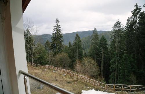 Panichishte Villa | Къща за гости Донука