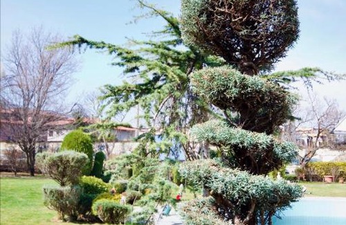 Lozenets House | Къща за гости, Зафир,