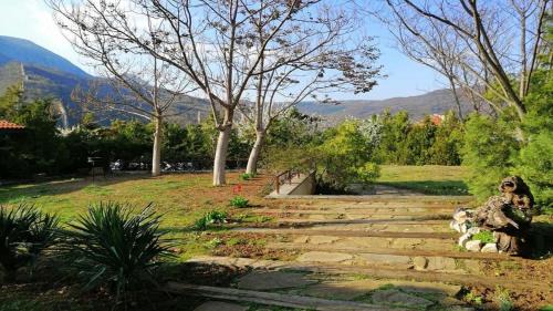 Mezdra House | Къща за гости "Мечта"