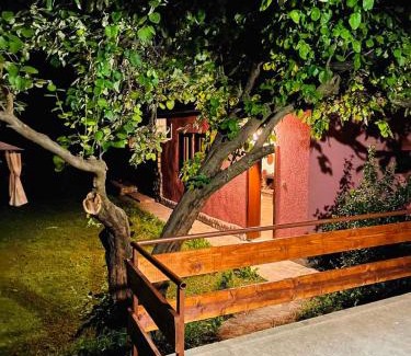 Ribaritsa House | Къща за гости Станеви