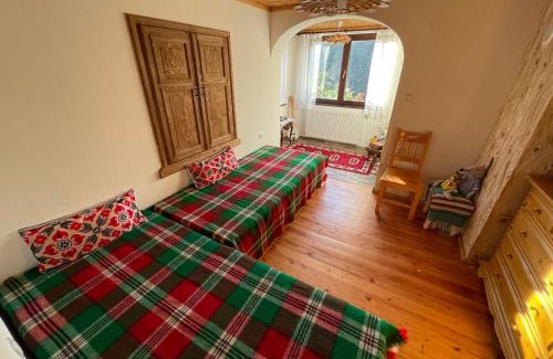 Devin House | Музикалната къща