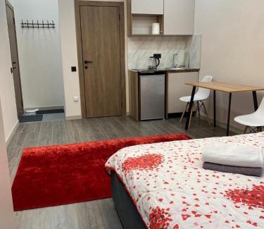 Almaty District Apartment | Нурлы жол-241