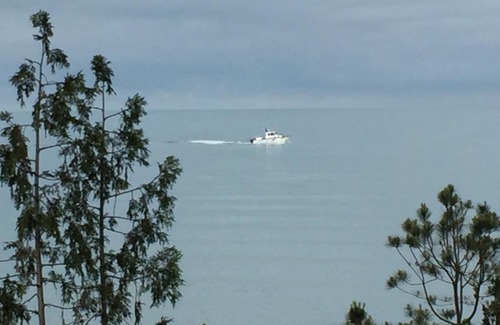 Chakvi Apartment | Отель Оазис в Чакви