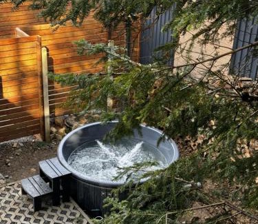 Skhidnytsya Apartment | Парк-готель Щастя