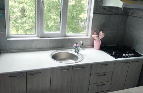 Kanimekh District Apartment | Посуточноя квартира