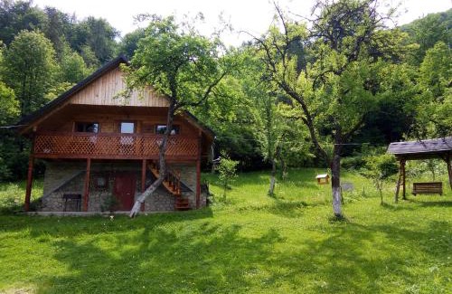 Snidavka Cabin | Під горою