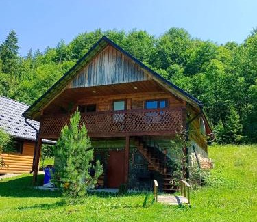 Snidavka Cabin | Під горою