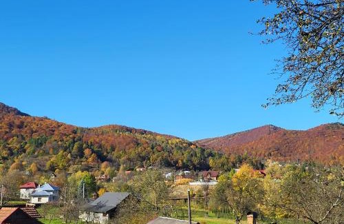 Snidavka Cabin | Під горою