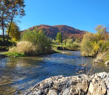Snidavka Cabin | Під горою