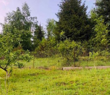 Soymy House | Під лісом