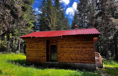 Semkovo Cabin | Райски кът “Еленова поляна”
