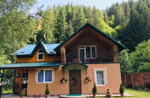 Soymy Cabin | Садиба у Брусків