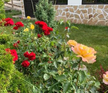 Kyustendil House | СТАРАТА КЪЩА