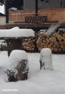 Tsarevets House | Събевата къща