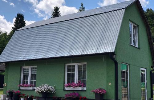 Uzhhorod Apartment | У Миколи