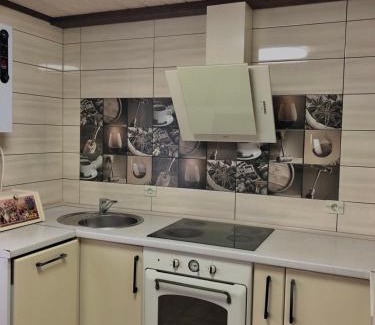 Uzhhorod Apartment | У Миколи