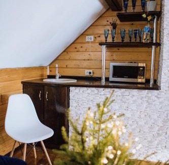 Verkhovyna House | «У полоні гір»