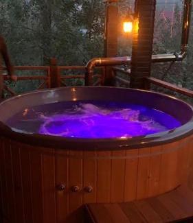 Mizhhirya Apartment | ЧАН Банька