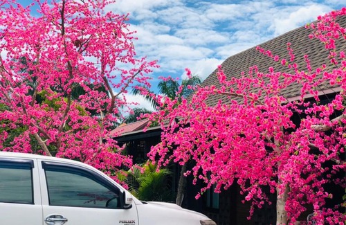 Sao Phao House | กอบสุข รีสอร์ท2 k12