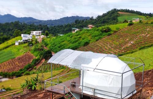 Mae Rim Resort | ชูชัยฟาร์มสเตย์ ม่อนแจ่ม