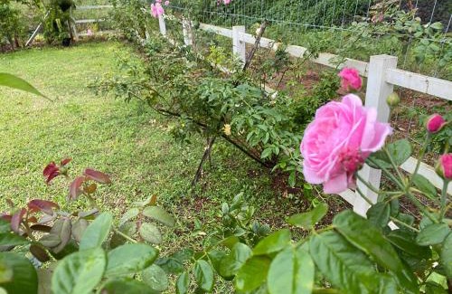 Thong Pha Phum House | บ้านพอดีโฮมสเตย์ทองผาภูมิ -กาญจนบุรี