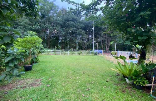 Thong Pha Phum House | บ้านพอดีโฮมสเตย์ทองผาภูมิ -กาญจนบุรี